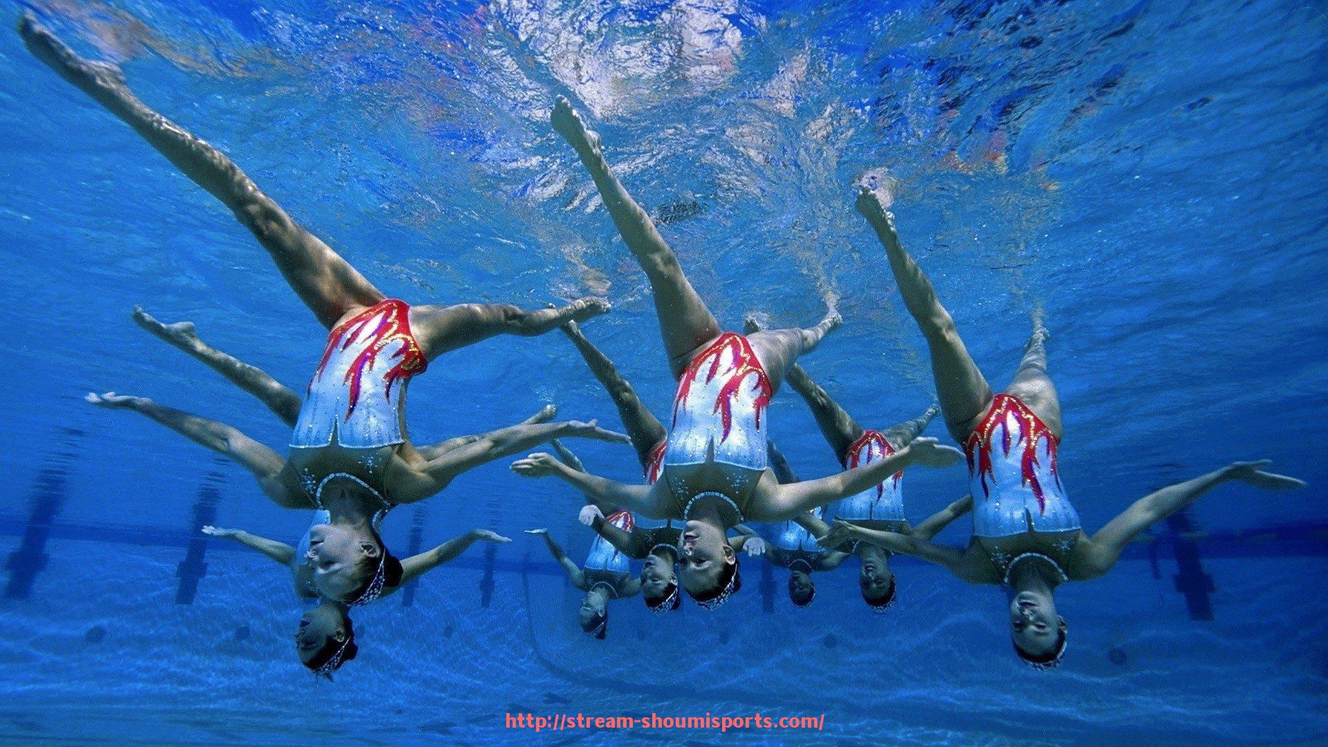 收米体育直播-2012年欧冠四强球队晋级路线及战绩比较